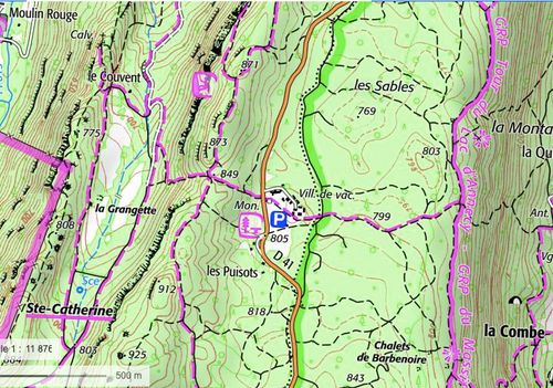 Forêt vivante aux Puisots - Immersion sensible et découverte du vivant