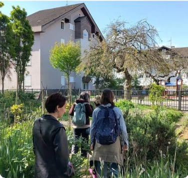 Balades du quartier du Fier