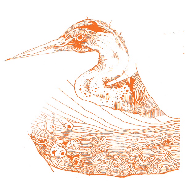 Arpentage littéraire - Pop Fascisme